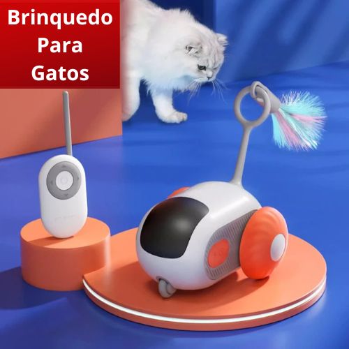 Brinquedo para Gatos - Toy Car