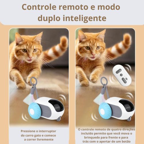 Brinquedo para Gatos - Toy Car