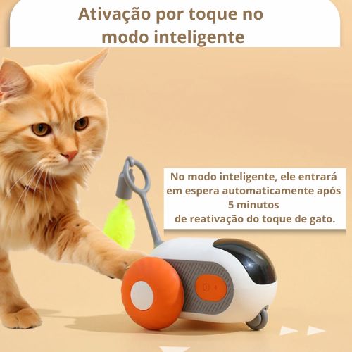 Brinquedo para Gatos - Toy Car