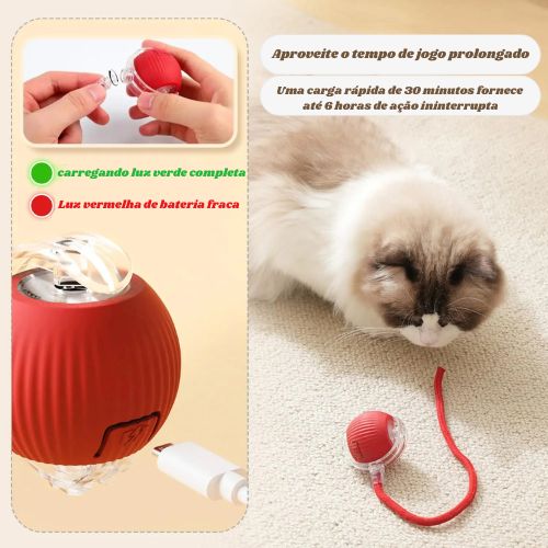 Brinquedo Interativo para Gatos