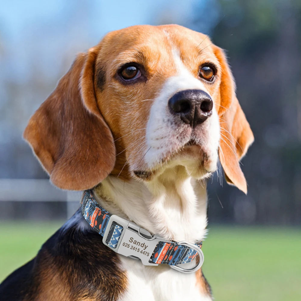 Coleira Ajustável Para Cachorro