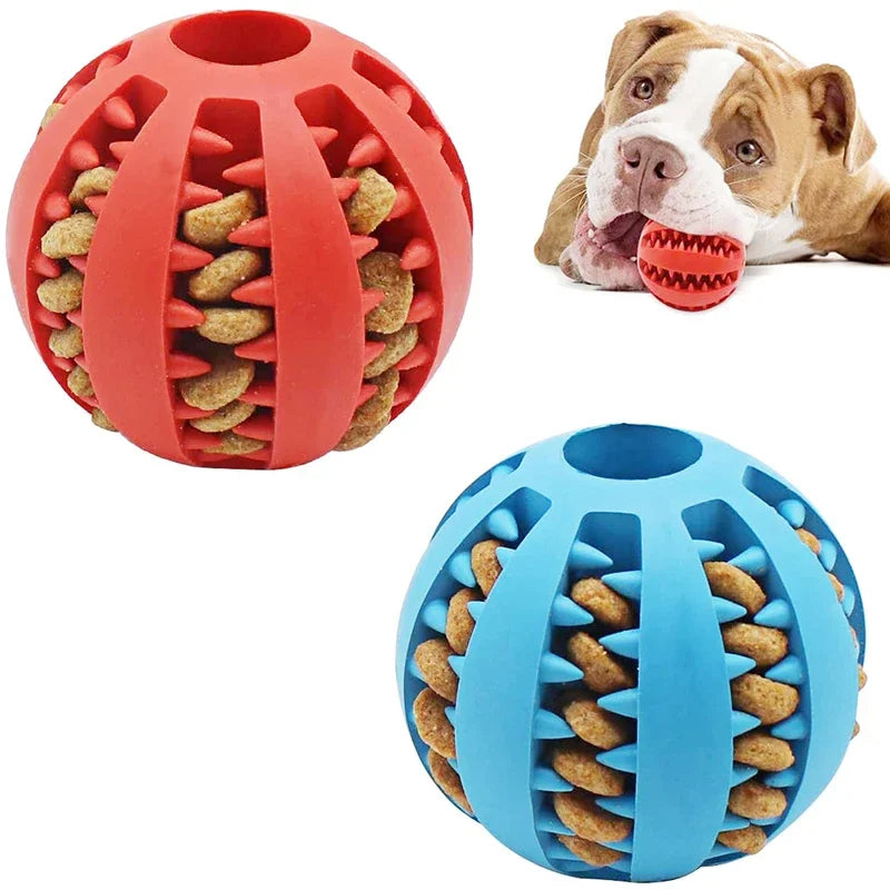 Dog Ball Interativo