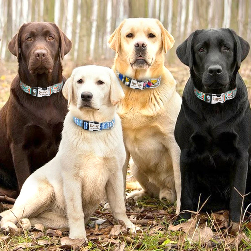 Coleira Ajustável Para Cachorro